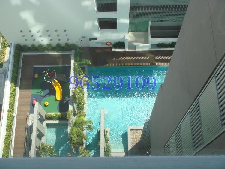 Regency Suites (D3), Apartment #79450802